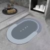 Alfombra Absorbente